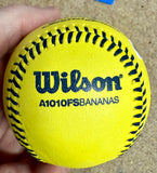 Savannah Bananas Owner & Founder Jesse Cole Signed Official Yellow Banana Ball