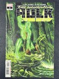 Immortal Hulk #2 #719 (Marvel Comics September 2018) First 1st App Dr. Frye