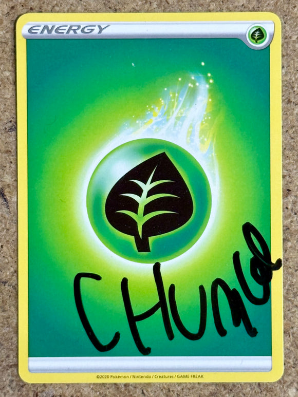 2020 Chumlee From Pawn Stars Signed Pokémon BASIC Energy Card Autograp –  Mustang Comics
