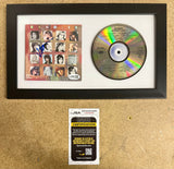 Vicki Peterson Signed & Framed Bangles “ Different Light (1986)” CD With JSA COA