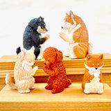 BOWING PUPPY DOG BLIND BOX (1 Blind Box)
