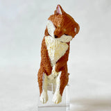 SLEEPY ANIMALS FIGURINE BLIND BOX (1 Blind Box)