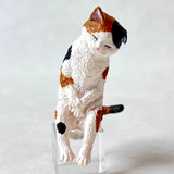 SLEEPY ANIMALS FIGURINE BLIND BOX (1 Blind Box)