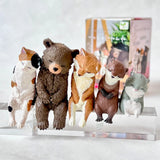 SLEEPY ANIMALS FIGURINE BLIND BOX (1 Blind Box)