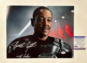 Descriptive image text