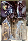 Batman and the Outsiders #1 Set Of 2 Tyler Kirkham And Stjepan Sejic Variant